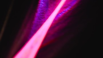 Rodzaje skanerów 3D - kluczowe różnice i zasady działania